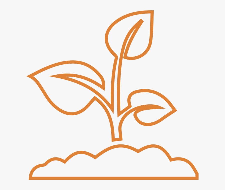Community Garden, Transparent Clipart