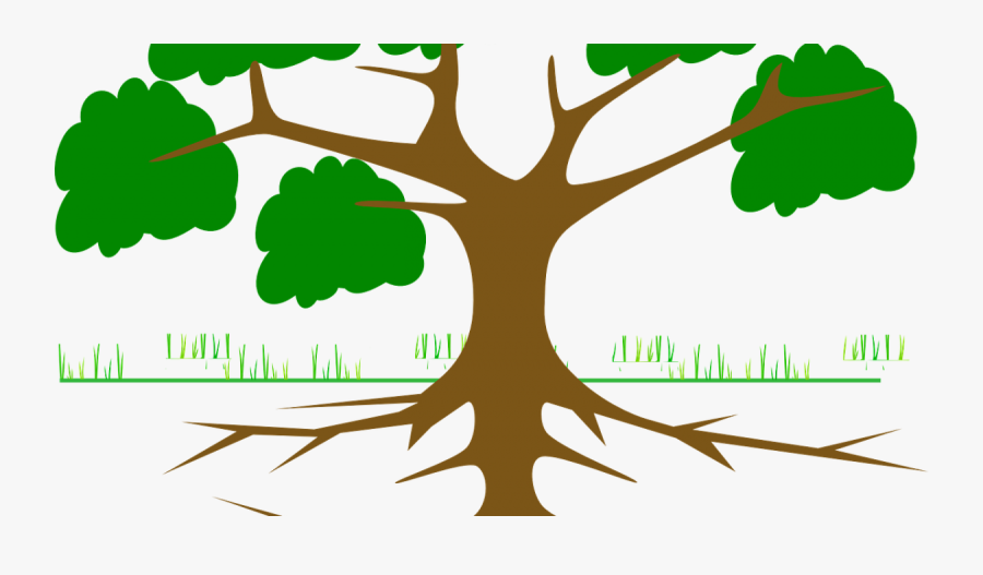 Tree Roots - Tree Root Cause Analysis, Transparent Clipart