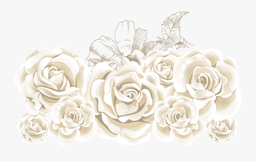 Transparent Picture White Roses Png, Transparent Clipart