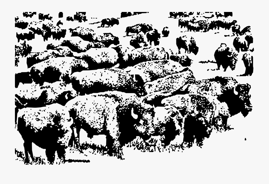 Sheep,bull,silhouette - Buffalo Herd Black And White, Transparent Clipart