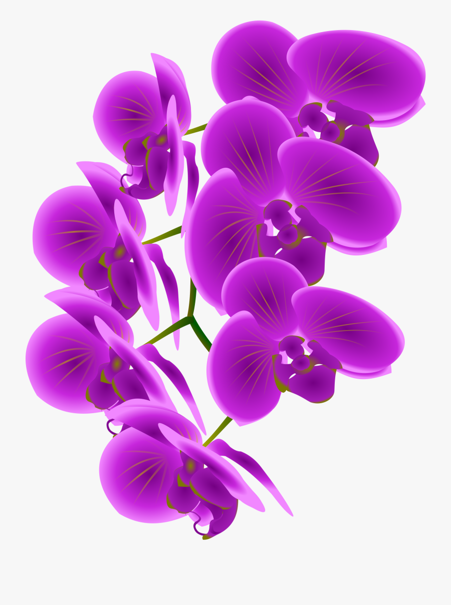 Free Beautiful Purple Orchid - Purple Orchid Clip Art, Transparent Clipart