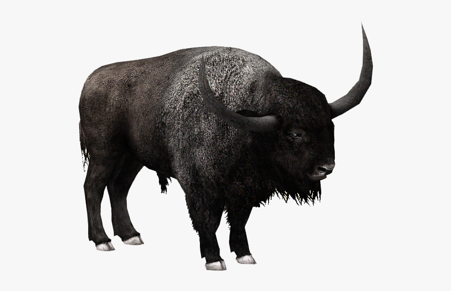 Clip Art File Mart - Bison .png, Transparent Clipart