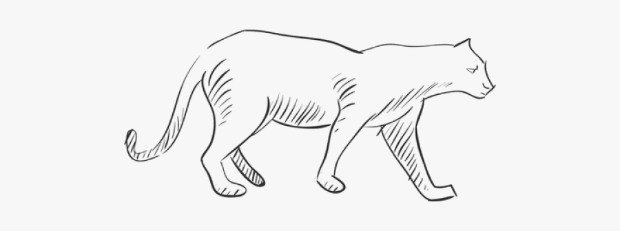 Line Art, Transparent Clipart