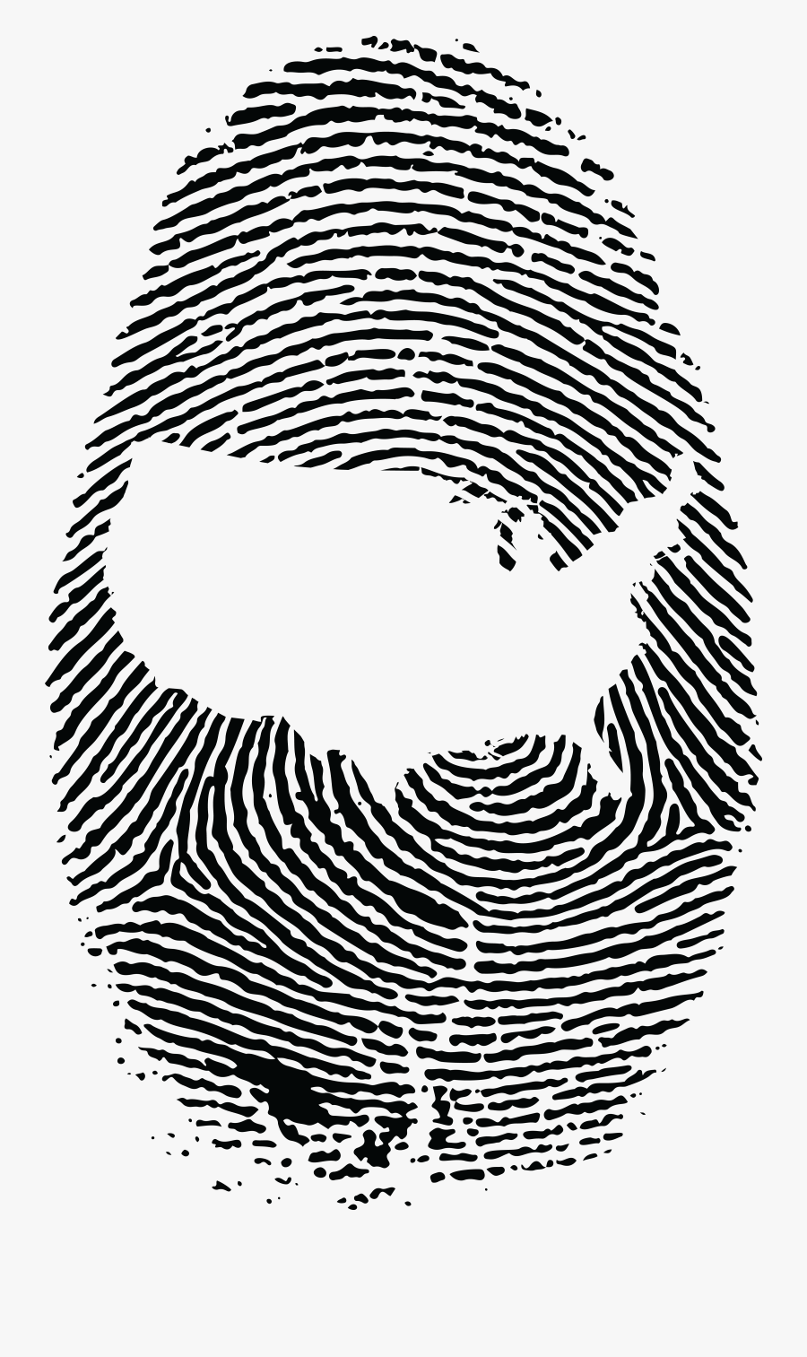 Free Of A With - Fibonacci Spiral In Fingerprint, Transparent Clipart
