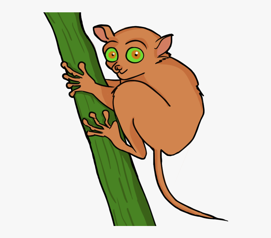 Soccer Player Clipart - Endangered Species In The Philippines Clip Art, Transparent Clipart