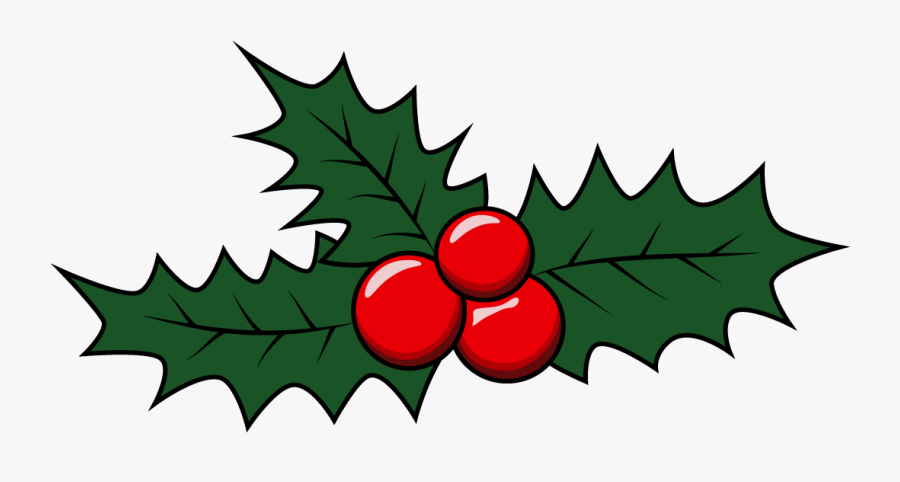 How To Draw Mistletoe, Christmas, Holidays, Easy Step - Mistletoe ...