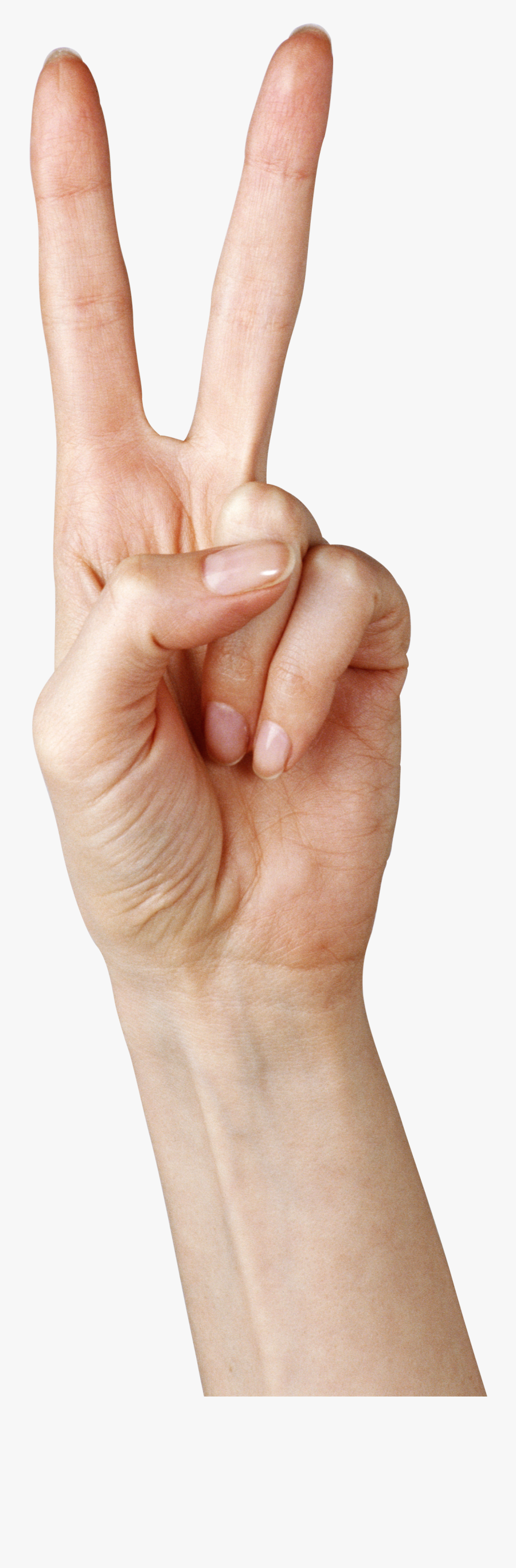 Thumb Hand Gesture - Two Fingers Png, Transparent Clipart