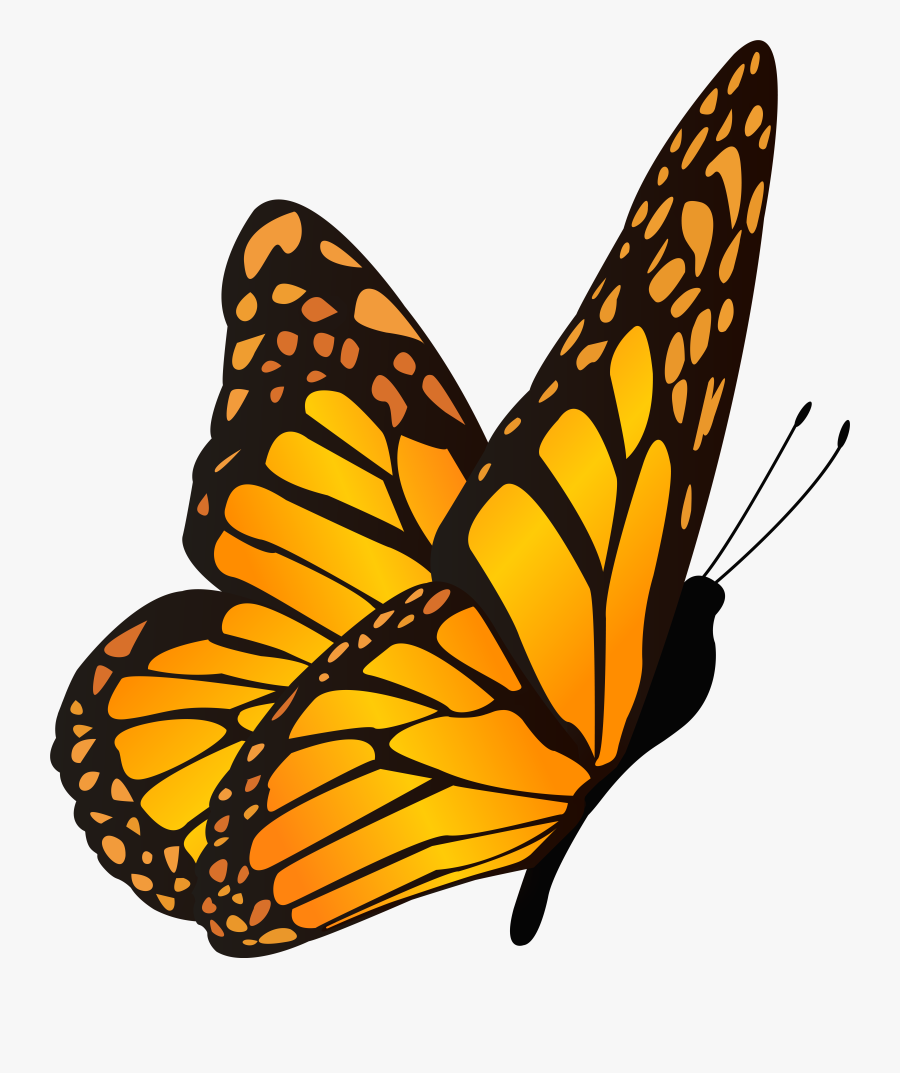 Yellow Image Gallery Yopriceville, Transparent Clipart