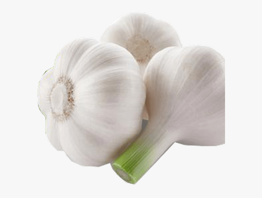 Garlic Png Transparent Png Images - Garlic White Background, Transparent Clipart