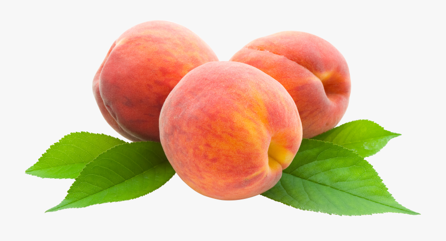 Hd Png Transparent Images - Transparent Peach Fruit Png, Transparent Clipart
