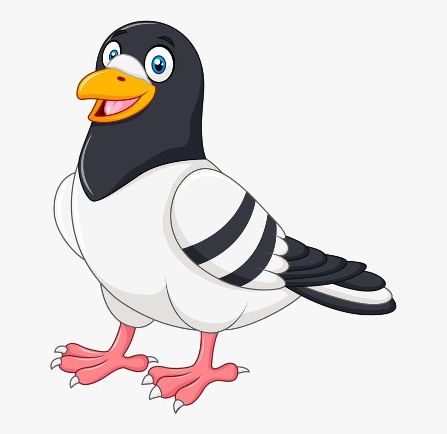 Pigeon In Cartoon, Transparent Clipart