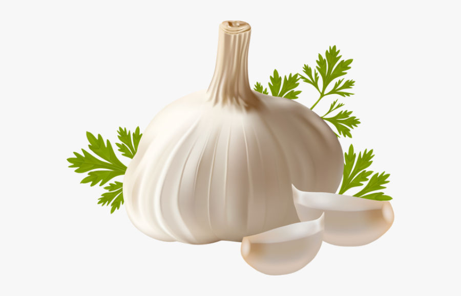 Garlic Clipart - Garlic On Transparent Background, Transparent Clipart