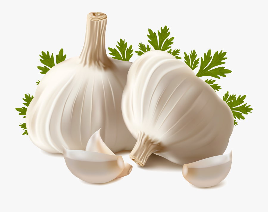 Download Garlic Png Clipart 1 227 - Garlic Png, Transparent Clipart