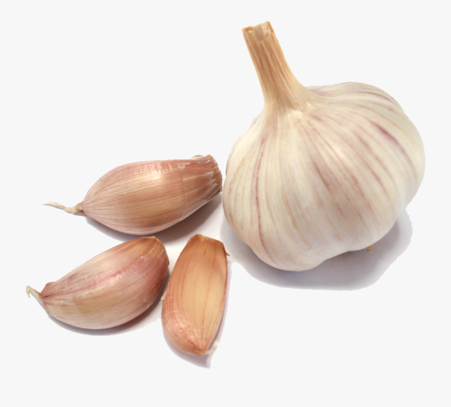 Download Garlic Png Clipart - Garlic Png, Transparent Clipart