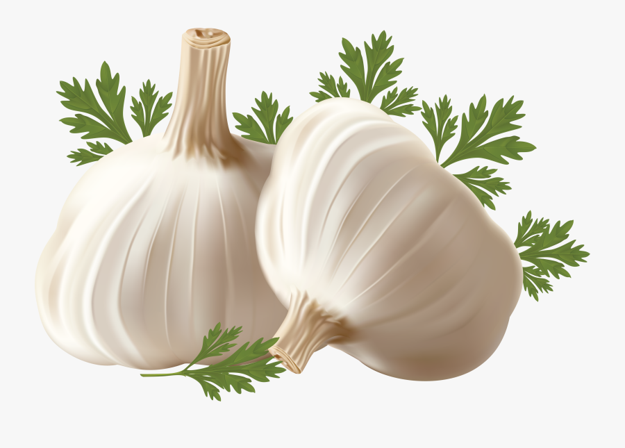 Garlics Png, Transparent Clipart