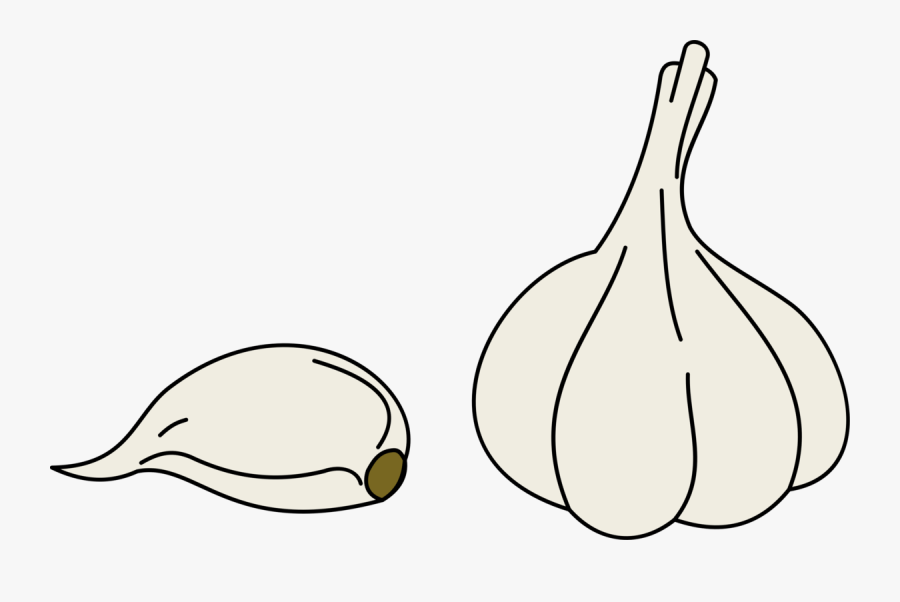 Line Art,plant,water Bird - Garlic Cloves Clip Art, Transparent Clipart