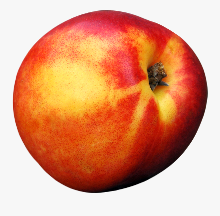 Peach Png Image Image - Single Peach Png, Transparent Clipart