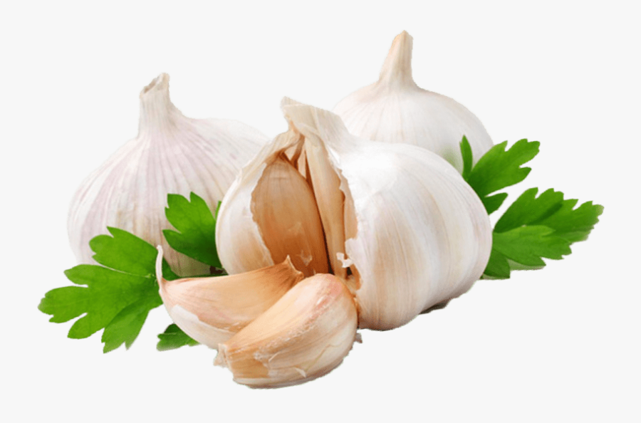 Clip Art Clipart Transparent Free - Garlic Png, Transparent Clipart