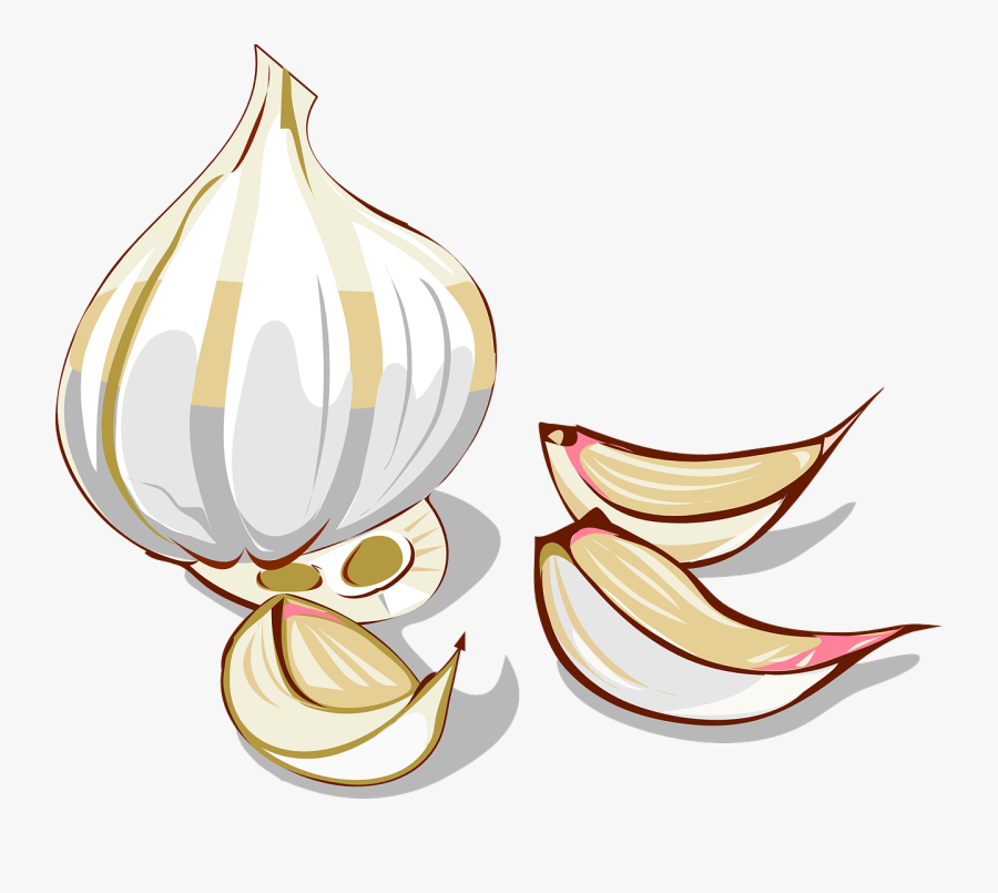 Freshgarlic - Garlic Clipart, Transparent Clipart