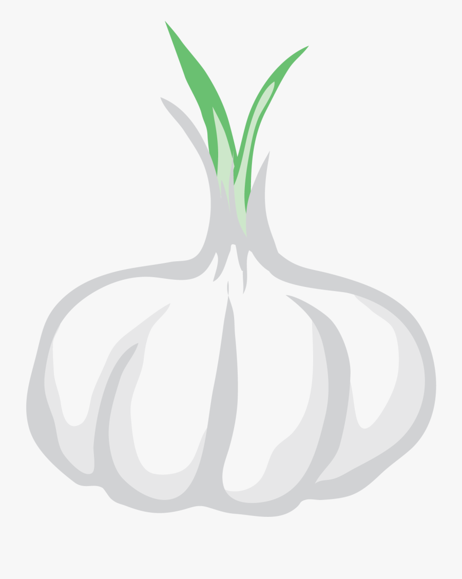 Garlic Vector Clip Art - Elephant Garlic, Transparent Clipart