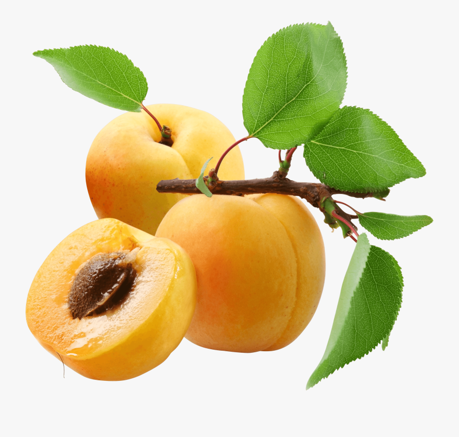 Three Transparent Png Stickpng - Apricots Png, Transparent Clipart