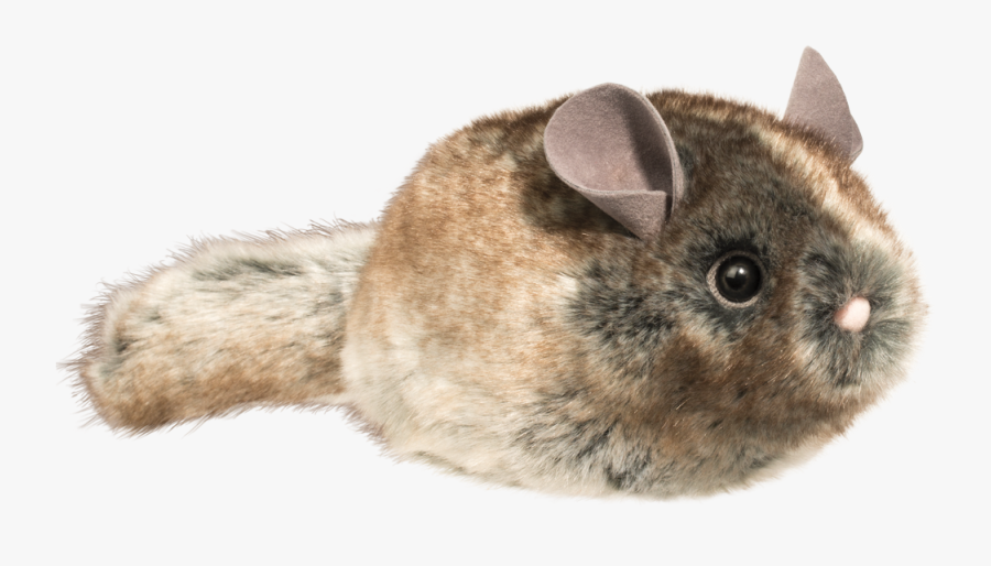 Transparent Chinchilla Clipart - Plush Chinchilla, Transparent Clipart