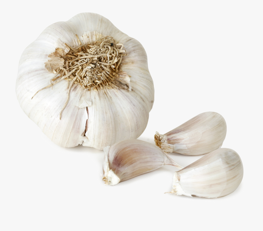 Garlic Png File - Garlic Png, Transparent Clipart