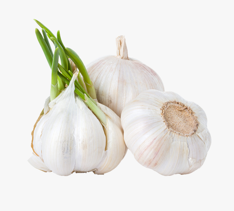 Garlic Png Background Clipart - Garlic, Transparent Clipart