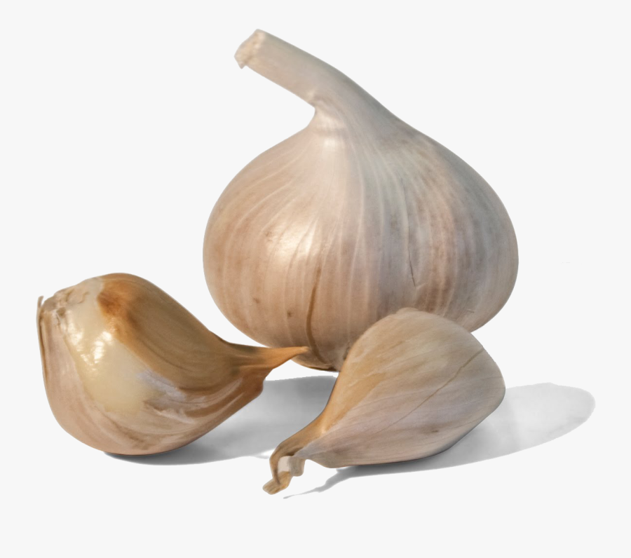 Garlic Clipart, Transparent Clipart