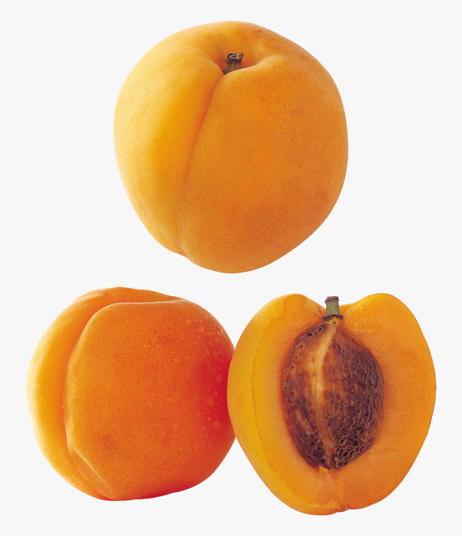 4851 - Peach, Transparent Clipart