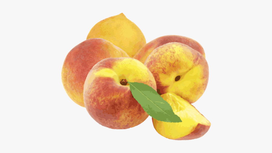 Southern Peaches, Transparent Clipart