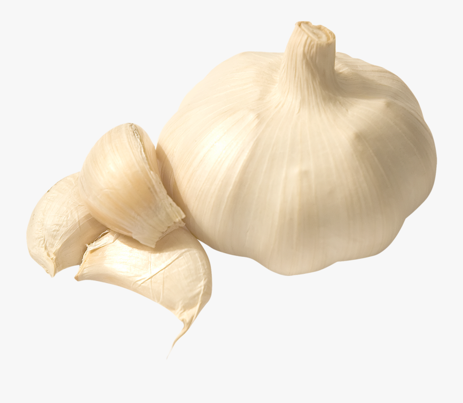 Garlic Png, Transparent Clipart