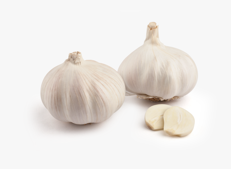Inicio Ajo Blanco Elephant Garlic- - Elephant Garlic, Transparent Clipart