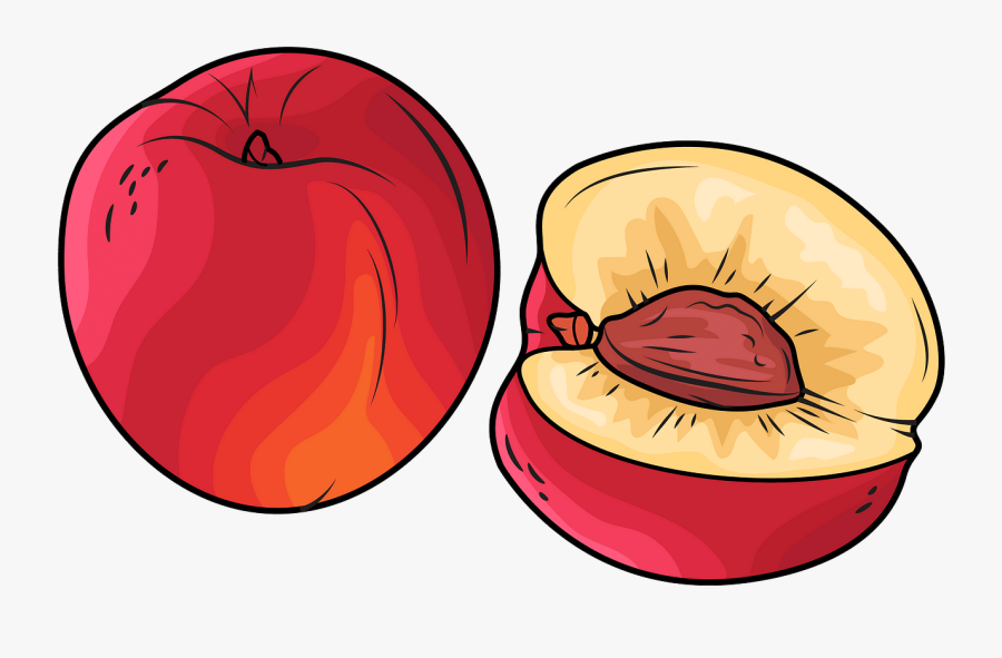 Clip Art, Transparent Clipart