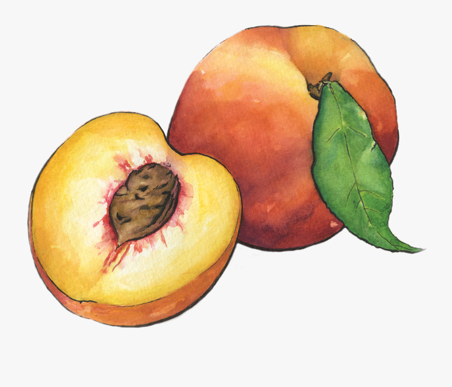 Transparent Peach Png - Peaches, Transparent Clipart