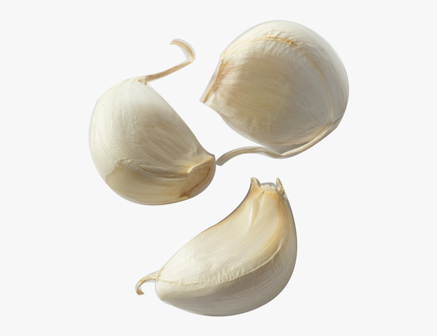 Clip Art Natural Unpeeled Solutions From - Transparent Background Garlic Clove Png, Transparent Clipart