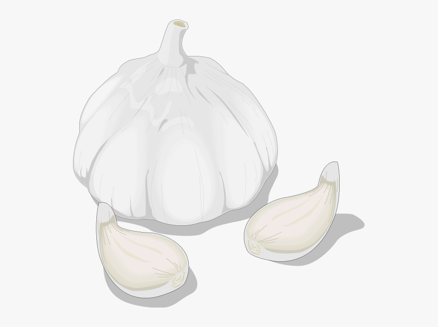 Ceramic, Transparent Clipart