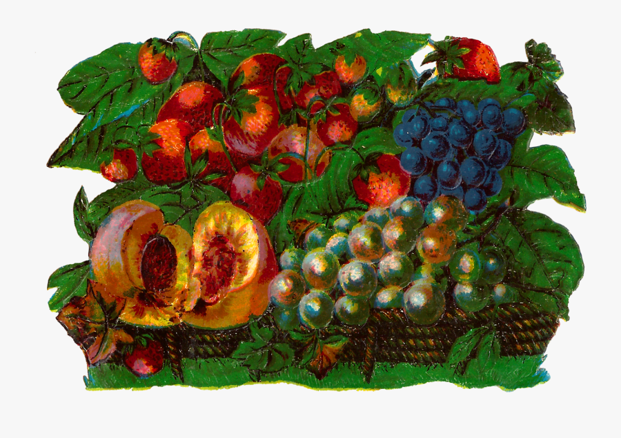 Seedless Fruit, Transparent Clipart