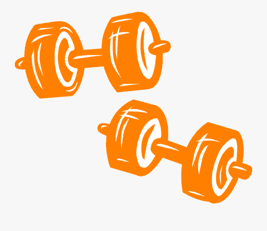Bodybuilding Weights And Image Illustration Of Weightlifting - Dumbbells Vector Png, Transparent Clipart