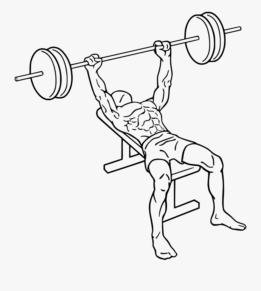 Filebench Press - Bench Press Png, Transparent Clipart