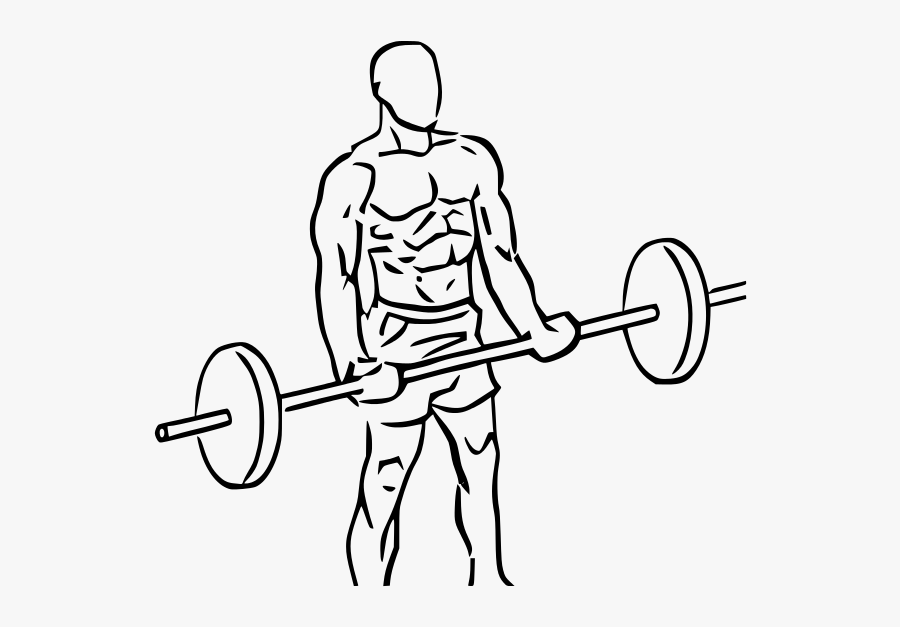 Transparent Weightlifting Clipart - Bicep Curl Png, Transparent Clipart