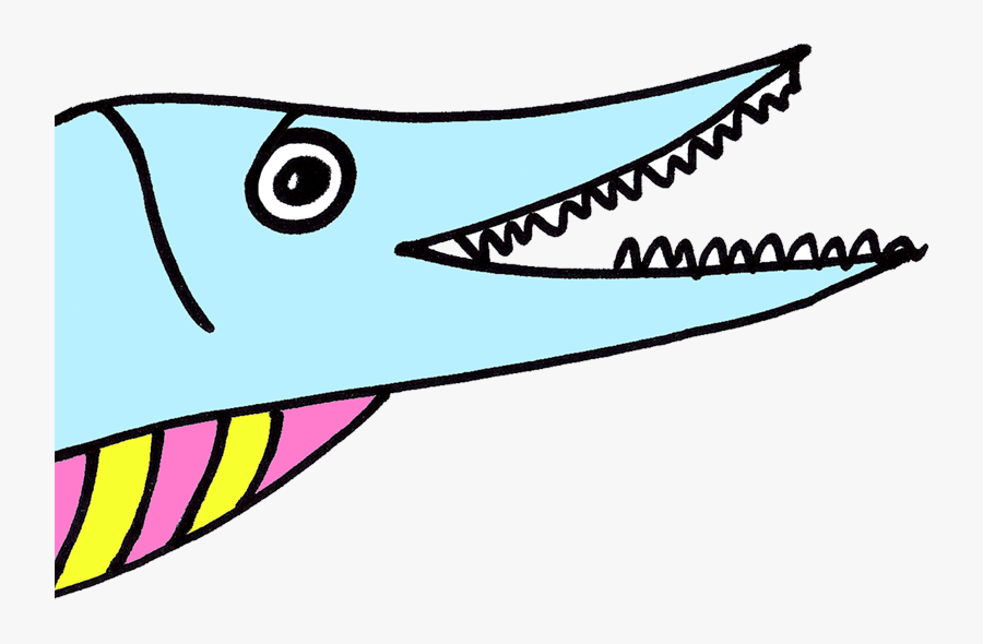 Thanks From The Harbor Porpoise, Seals And Cod Clipart, Transparent Clipart