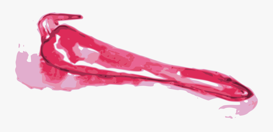 Pink,literary Cookbook,comida Latina An Illustrated, Transparent Clipart