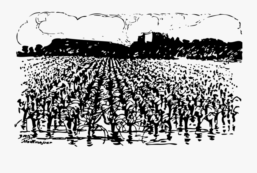 Free Clip Art "montmajour And Vineyard - Clipart Black And White Farm Scene, Transparent Clipart