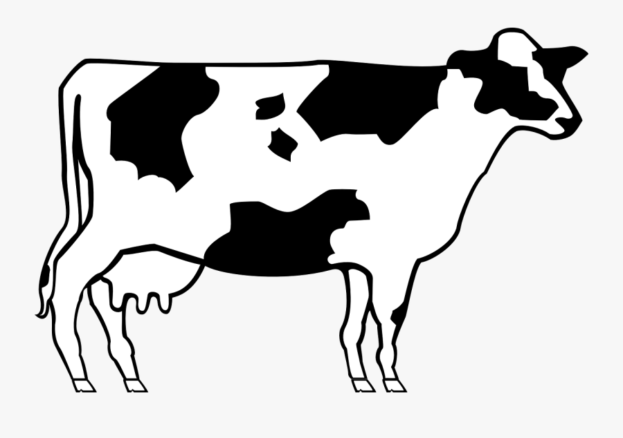 Cow Clip Art, Transparent Clipart