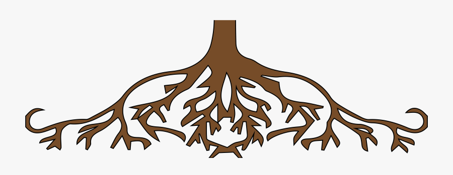 United States Root Tree Clip Art - Root Clipart Png, Transparent Clipart