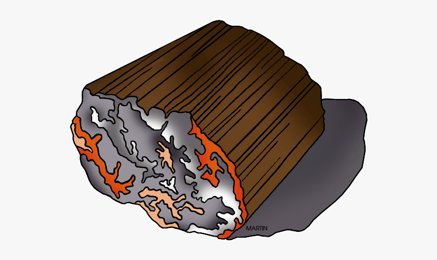 State Gem - Petrified Wood - Petrified Wood, Transparent Clipart