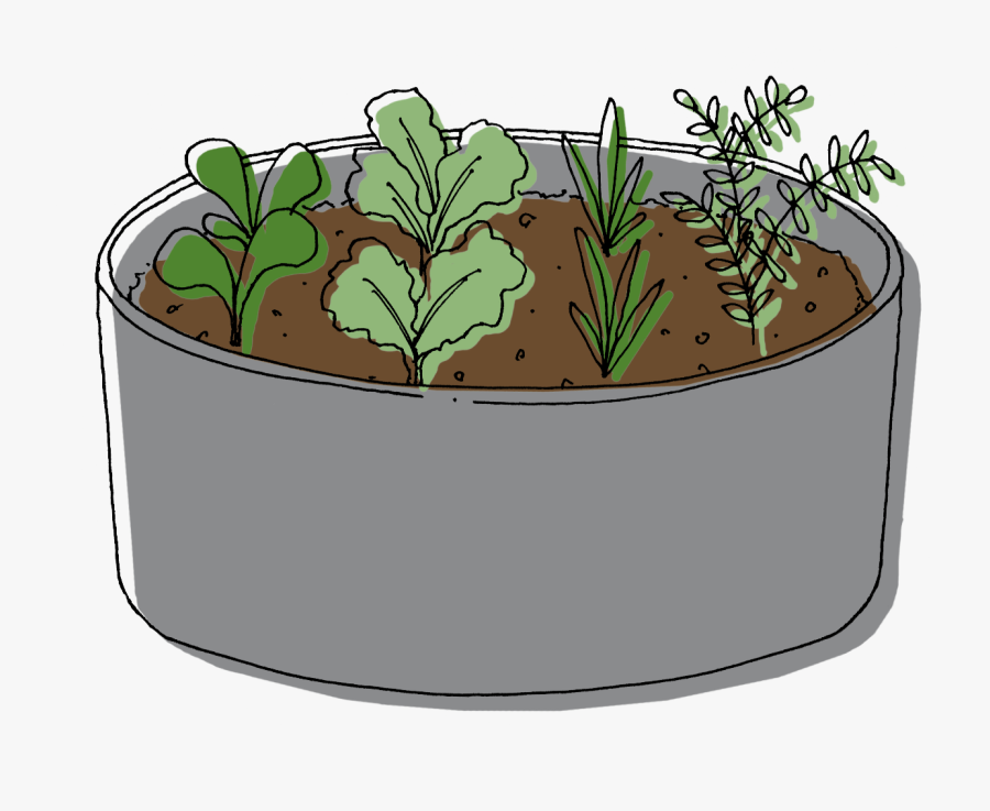 Raised Bed - Illustration, Transparent Clipart