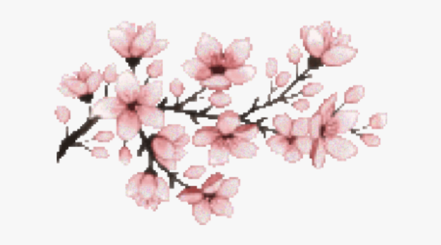 Japan Flower Clipart - Transparent Cherry Blossom, Transparent Clipart