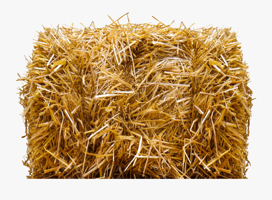 Clip Library Straw Drawing Hay Bale - Hay Bale Png, Transparent Clipart